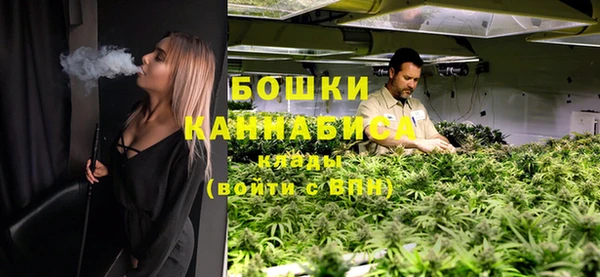 ГАЛЛЮЦИНОГЕННЫЕ ГРИБЫ Инсар
