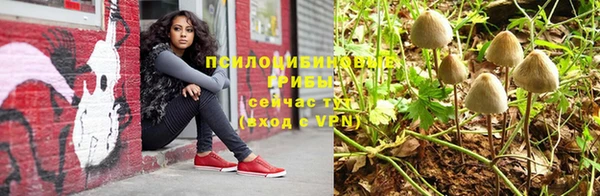 меф Инта