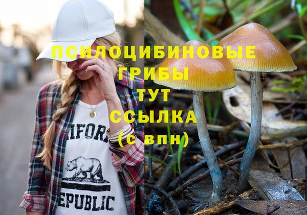 ГАЛЛЮЦИНОГЕННЫЕ ГРИБЫ Инсар