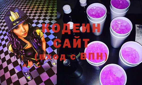 ГАЛЛЮЦИНОГЕННЫЕ ГРИБЫ Инсар