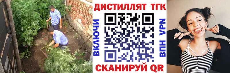 OMG ТОР  где купить   Новоузенск  Дистиллят ТГК концентрат 